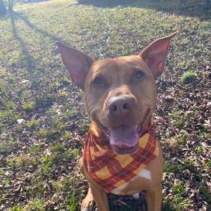 Meet your Posher, Kilian